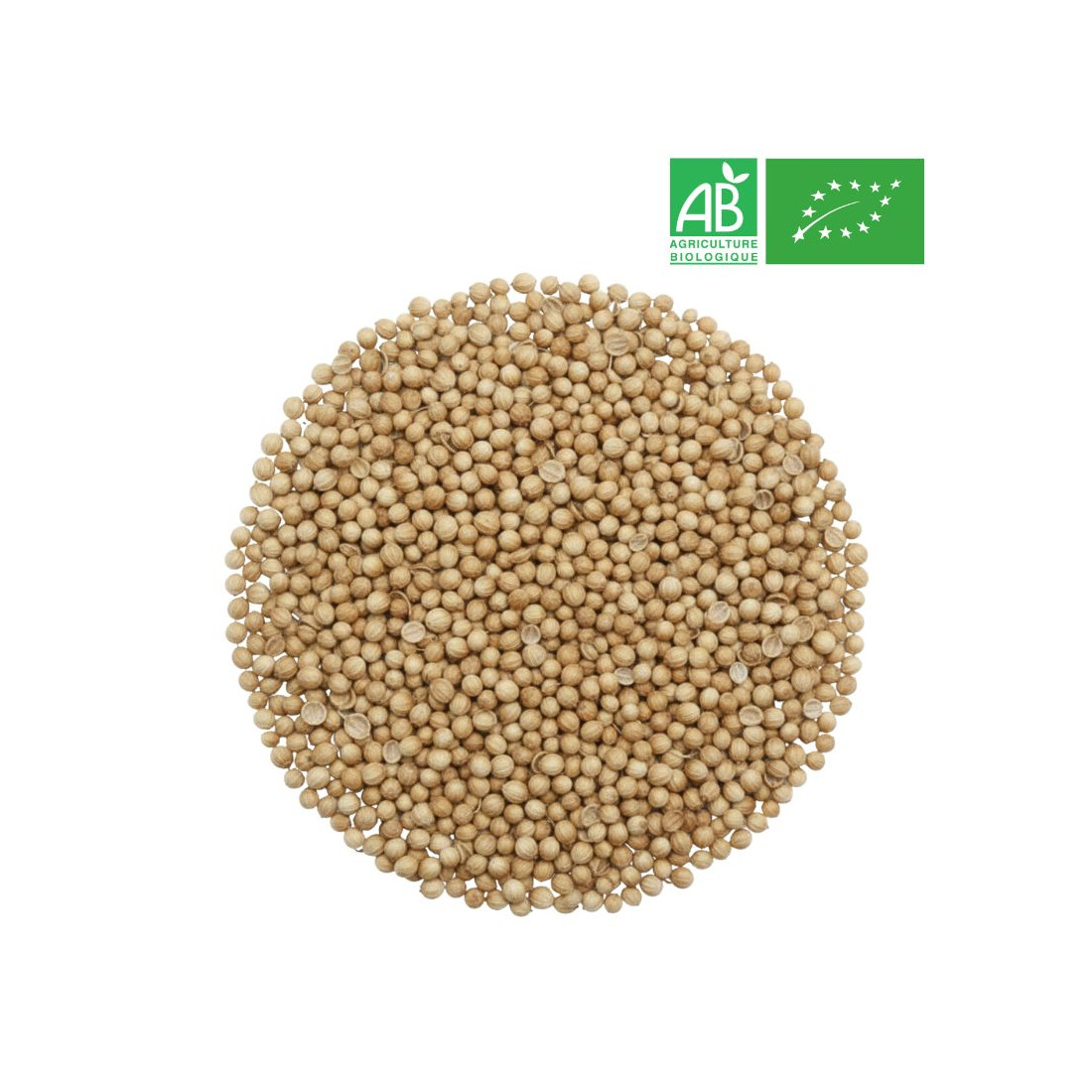 Coriander Seeds in Bulk - Organic Herbalism Wholesaler