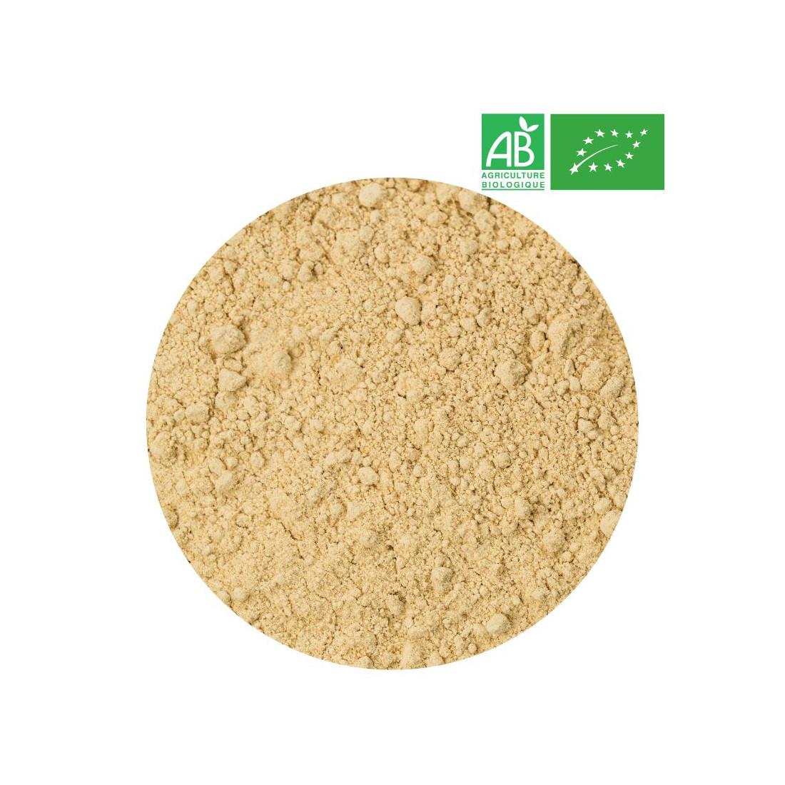 Ginger Root Powder - Organic Herbalism Wholesaler