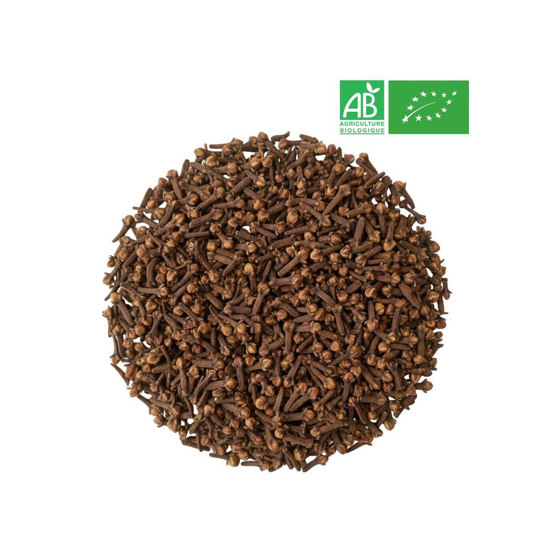 Loose Clove - Organic Herbalism Wholesaler