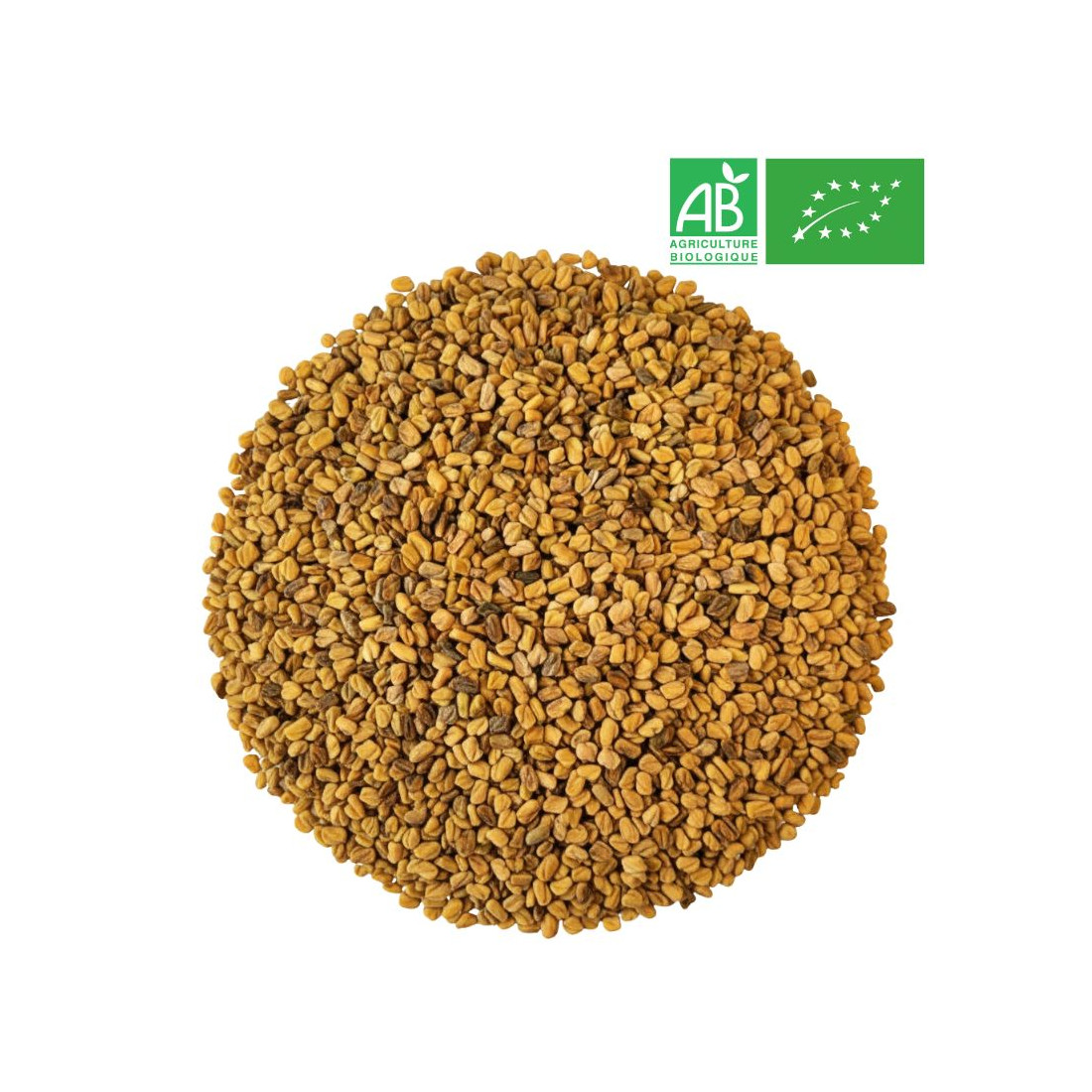 Fenugreek seeds in bulk - wholesale organic herb trade