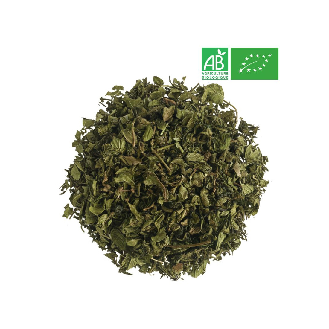 Loose Premium Mint Green Tea - Organic Tea Wholesaler