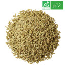 Loose Fennel - Organic Herbalism Wholesaler