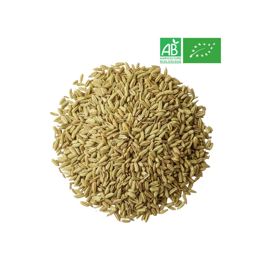 Loose Fennel - Organic Herbalism Wholesaler