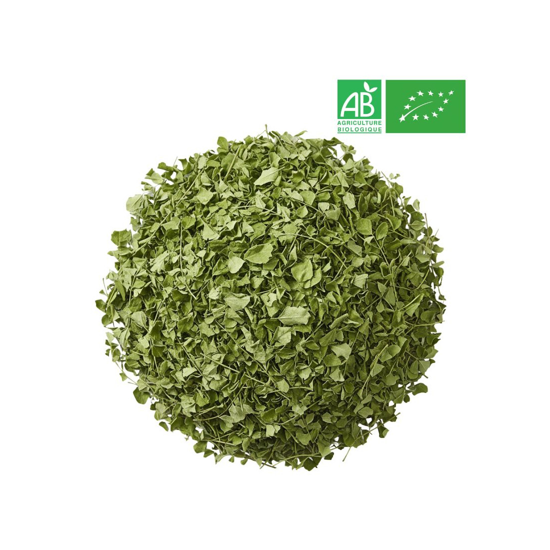 Loose Moringa - Organic Herbalism Wholesaler