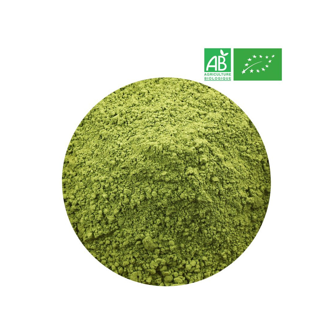 Organic Matcha Tea from China - Matcha Tea Wholesaler