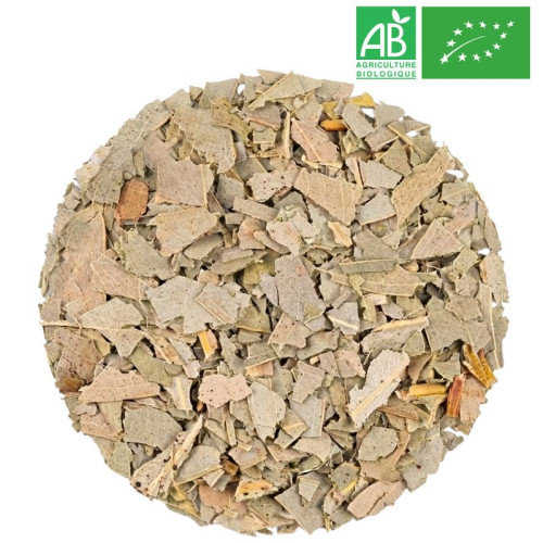 Loose Eucalyptus Leaf - Organic Herbalism Wholesaler