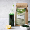 Organic Spirulina Powder - Organic plant by the kilo - Supplier