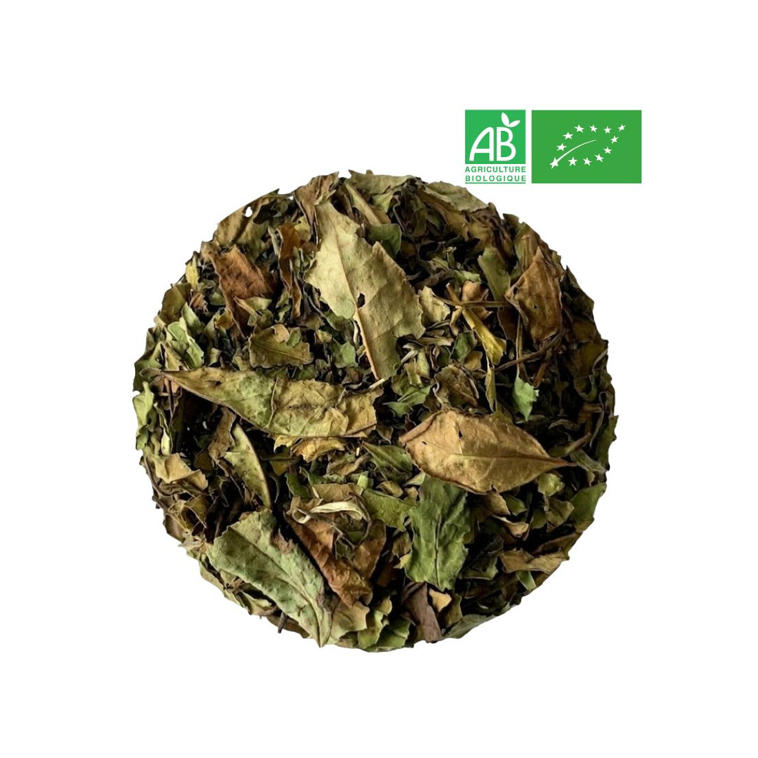 Loose Pai Mu Tan White Tea - Organic Tea Wholesaler