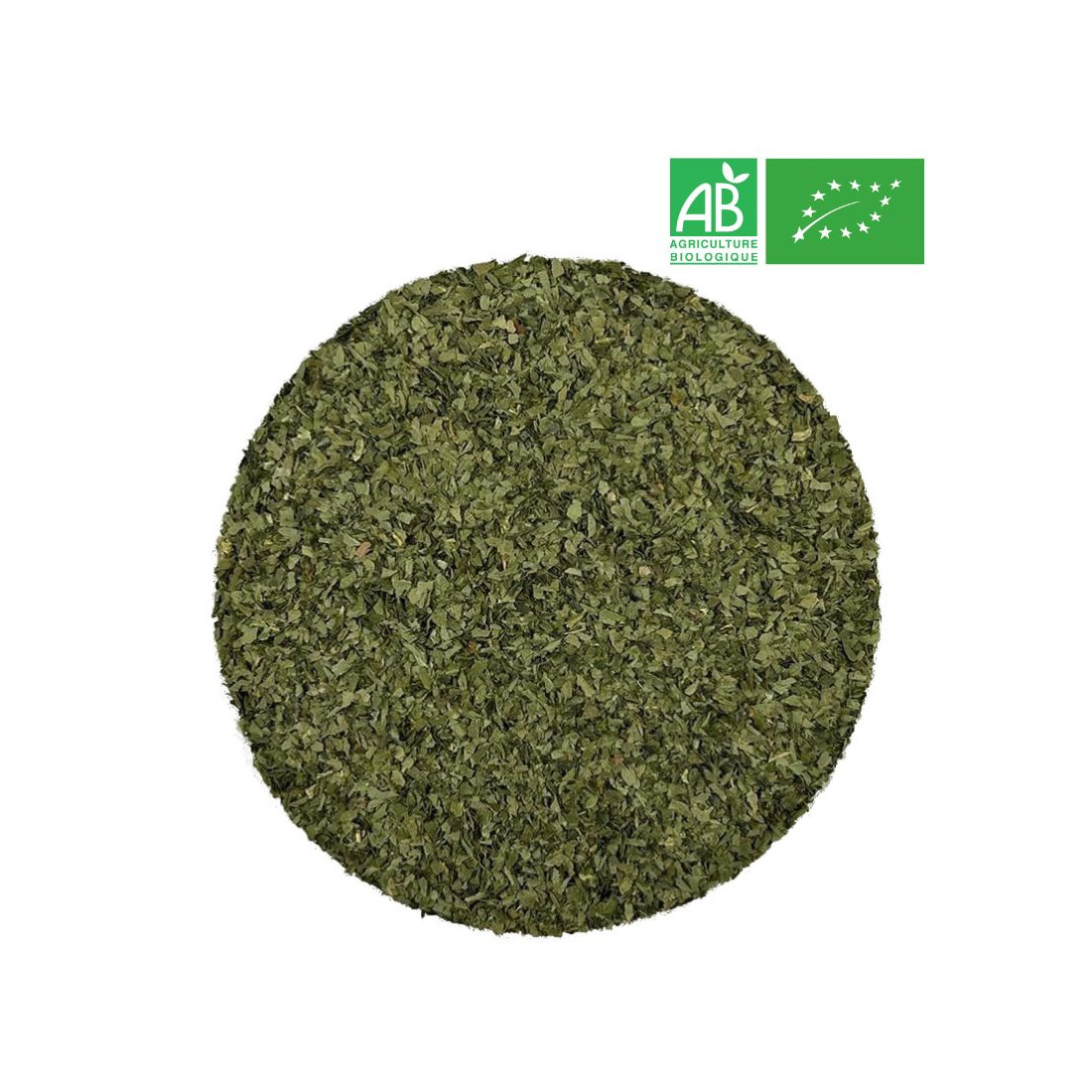 Organic Wild Garlic - Organic herb and plant by the kilo - Supplier