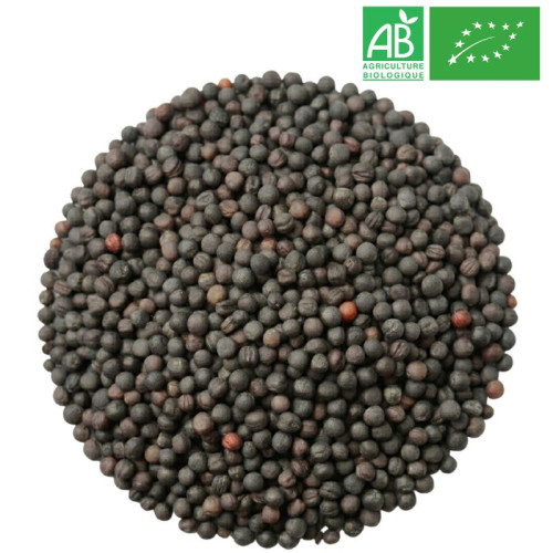 Organic Black Mustard Seeds  - Organic Herbalism Wholesaler
