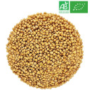 Organic Yellow Mustard Seeds  - Organic Herbalism Wholesaler