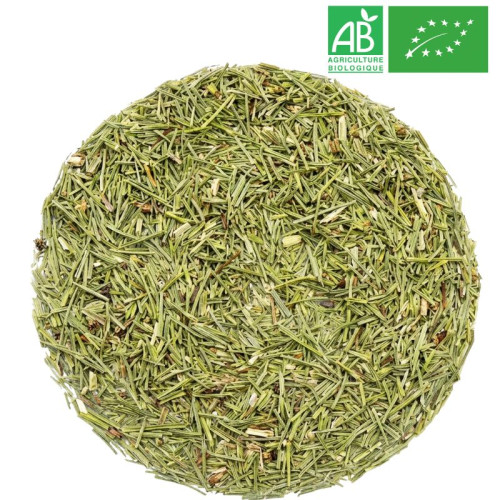 Organic Horsetail - Organic herb and plant by the kilo - Supplier