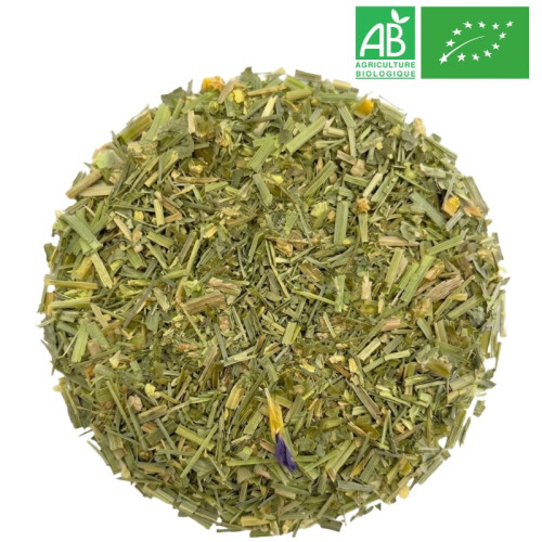 Organic Wild Pansy - Organic herb and plant by the kilo - Supplier