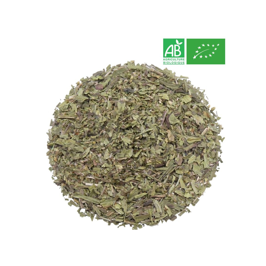 Organic Ribword Plantain - Organic herb and plant by the kilo - Supplier
