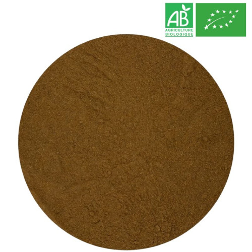 Ginkgo Biloba Leaf Powder Powder - Organic Herbalism Wholesaler