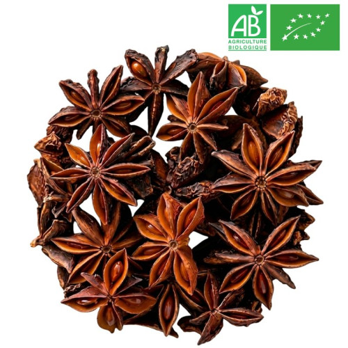 Loose Star Anise Whole Fruit - Organic Herbalism Wholesaler