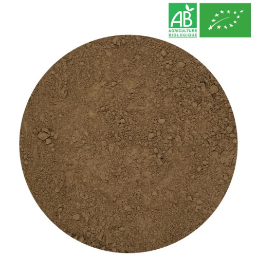 Hojicha in powder Organic leaves roasted  - Organic Herbalism Wholesaler