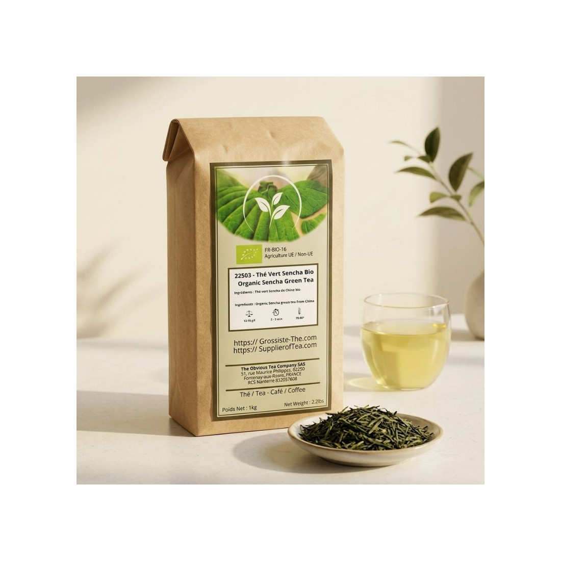 Sencha green tea in bulk - Wholesaler Organic Tea