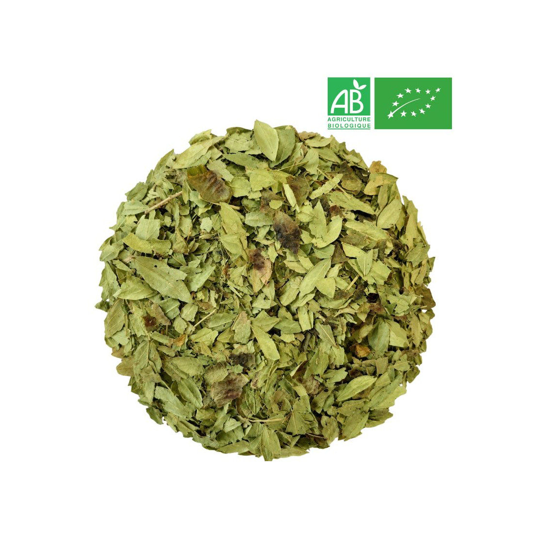 Senna Leaf in Bulk - Organic Herbalism Wholesaler