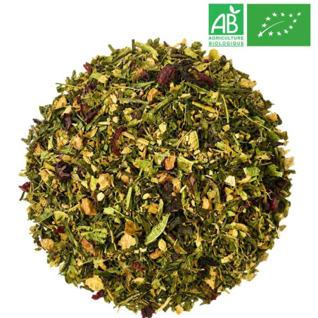 Lemon Green Tea and Mate in Bulk - Wholesaler Organic Tea