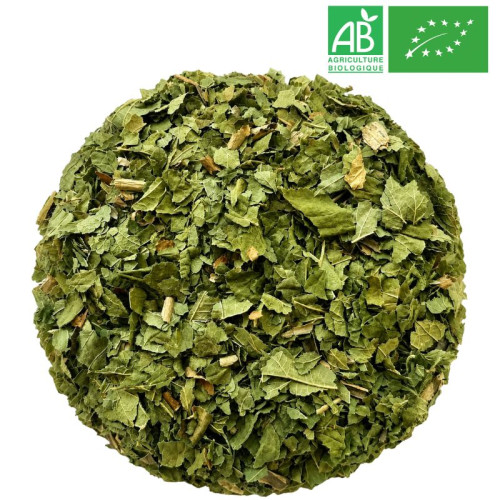 Loose Blackcurrant Leaves - Organic Herbalism Wholesaler