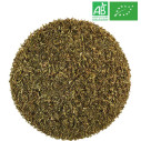 Organic Thyme - Organic herb and plant by the kilo - Supplier