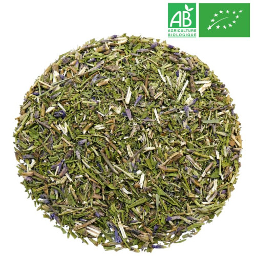 Organic Hyssop - Organic herb and plant by the kilo - Supplier