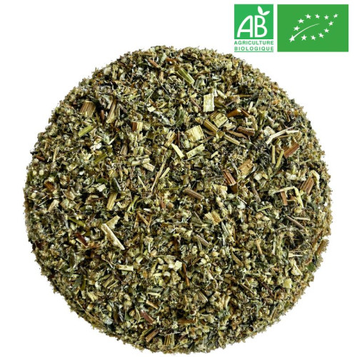 Loose Mugwort - Organic Herbalism Wholesaler