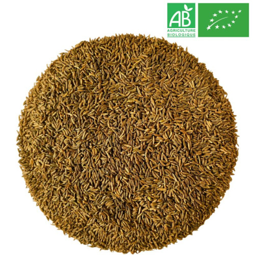 Loose Whole Caraway Fruit - Organic Herbalism Wholesaler