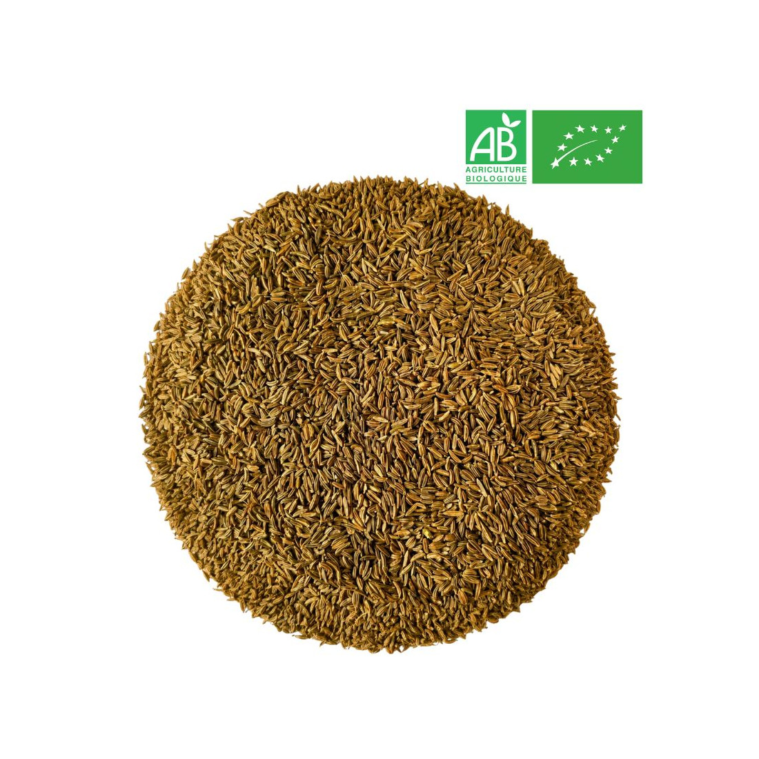 Loose Whole Caraway Fruit - Organic Herbalism Wholesaler