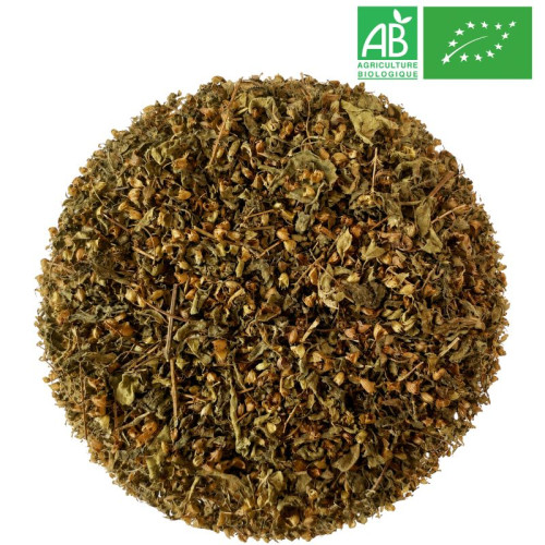 Loose Tulsi - Organic Herbalism Wholesaler