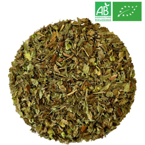 Basil in bulk - wholesale organic herb trade