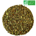 Basil in bulk - wholesale organic herb trade