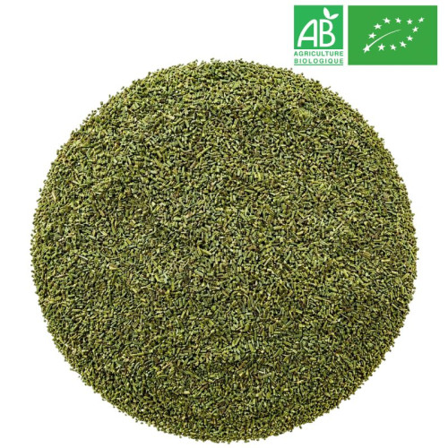Loose Rosemary - Organic Herbalism Wholesaler