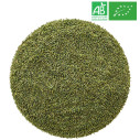 Loose Rosemary - Organic Herbalism Wholesaler