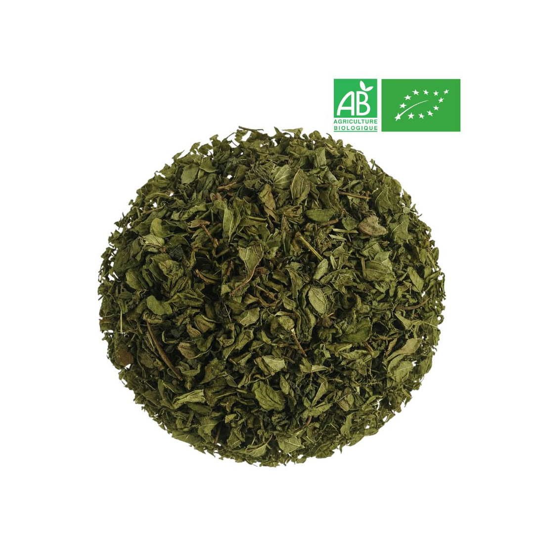 Loose Premium Mint Green Tea - Organic Tea Wholesaler