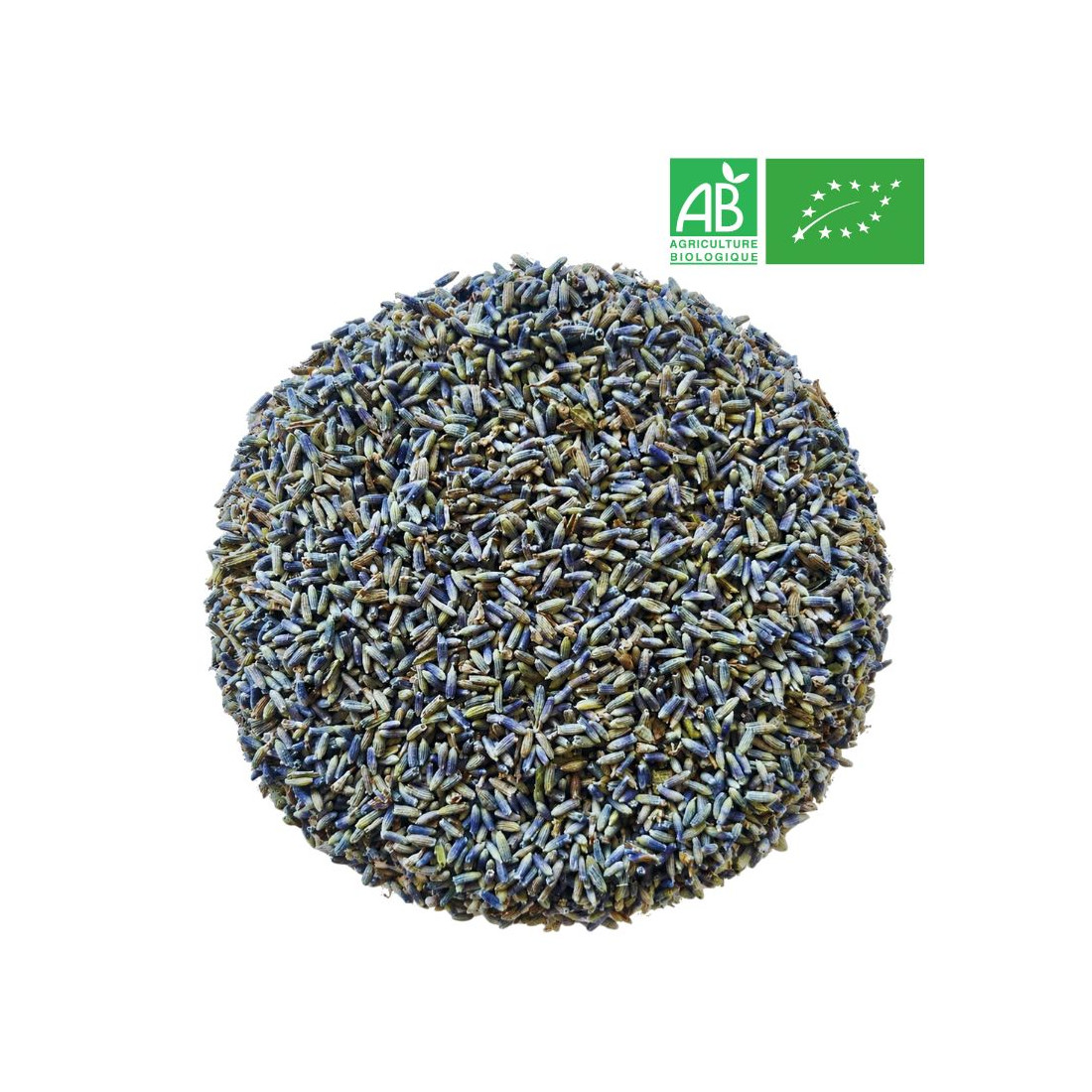 Lavender flowers in bulk - wholesale organic herb trade