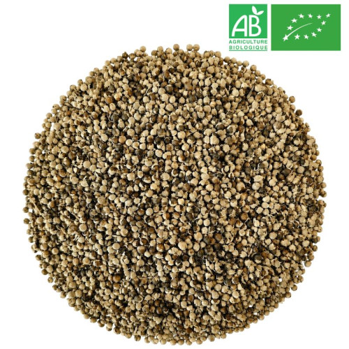 Chaste Tree Fruit in Bulk - Organic Herbalism Wholesaler