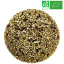 Fennel Anise infusion in bulk - Wholesaler infusion bio