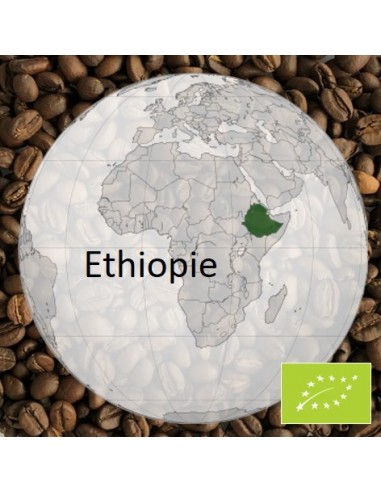 Organic Ethiopian Mocha Coffee 1kg - Bean