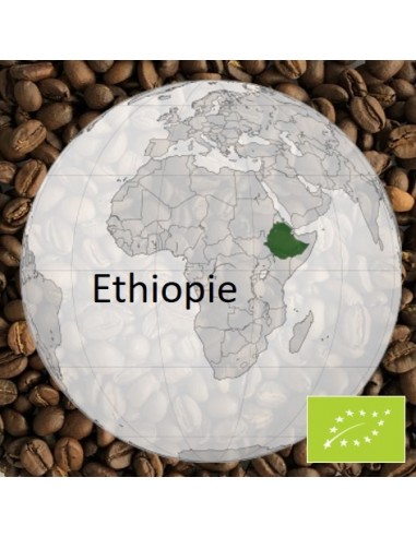 Organic Ethiopian Mocha Coffee in Bulk - Bean